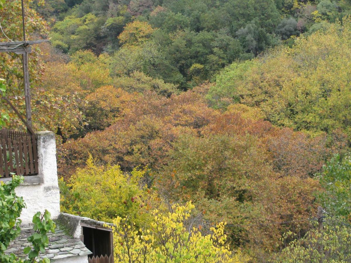 Koukourava Garden Villa Makrinítsa Buitenkant foto