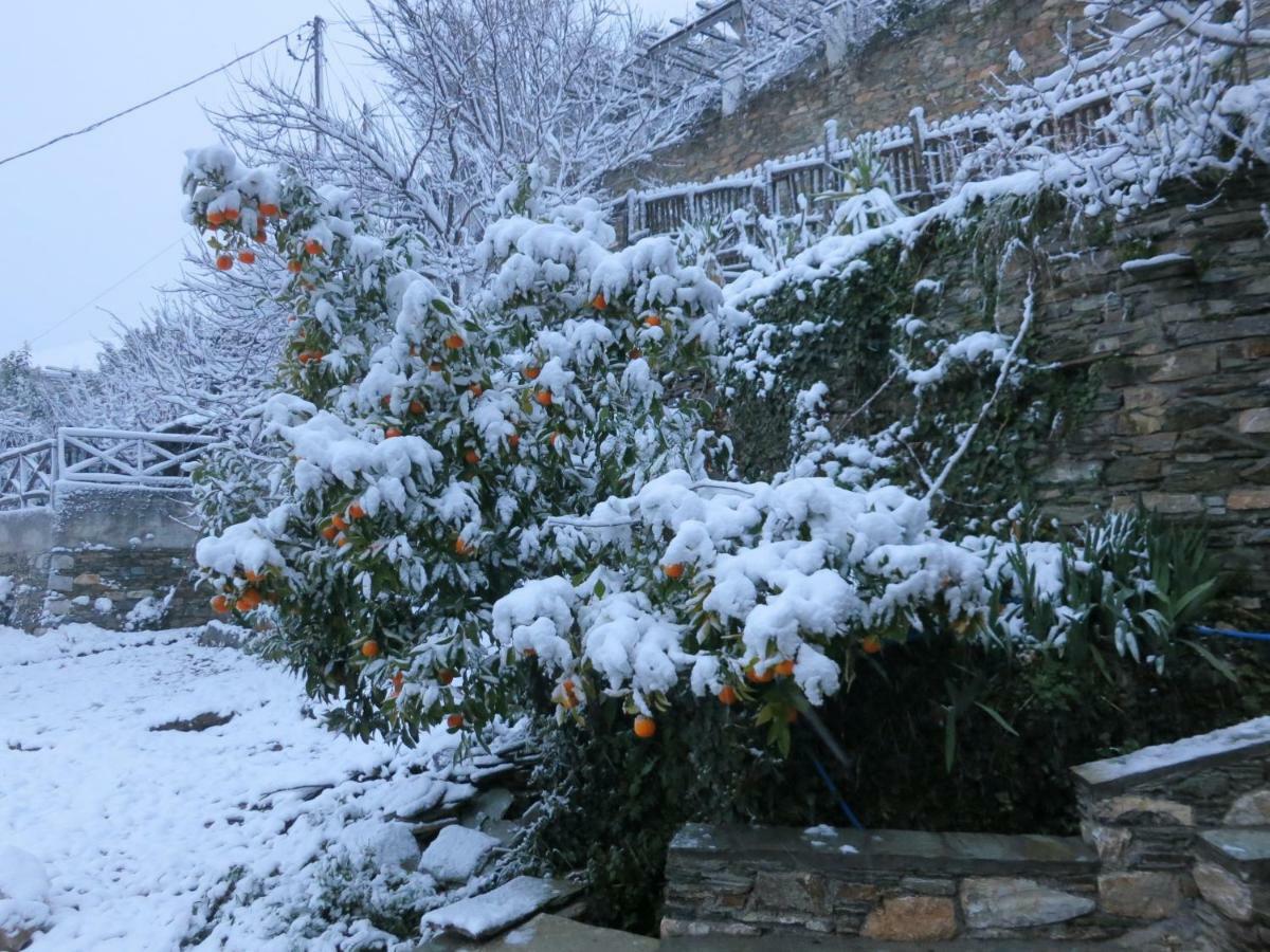Koukourava Garden Villa Makrinítsa Buitenkant foto