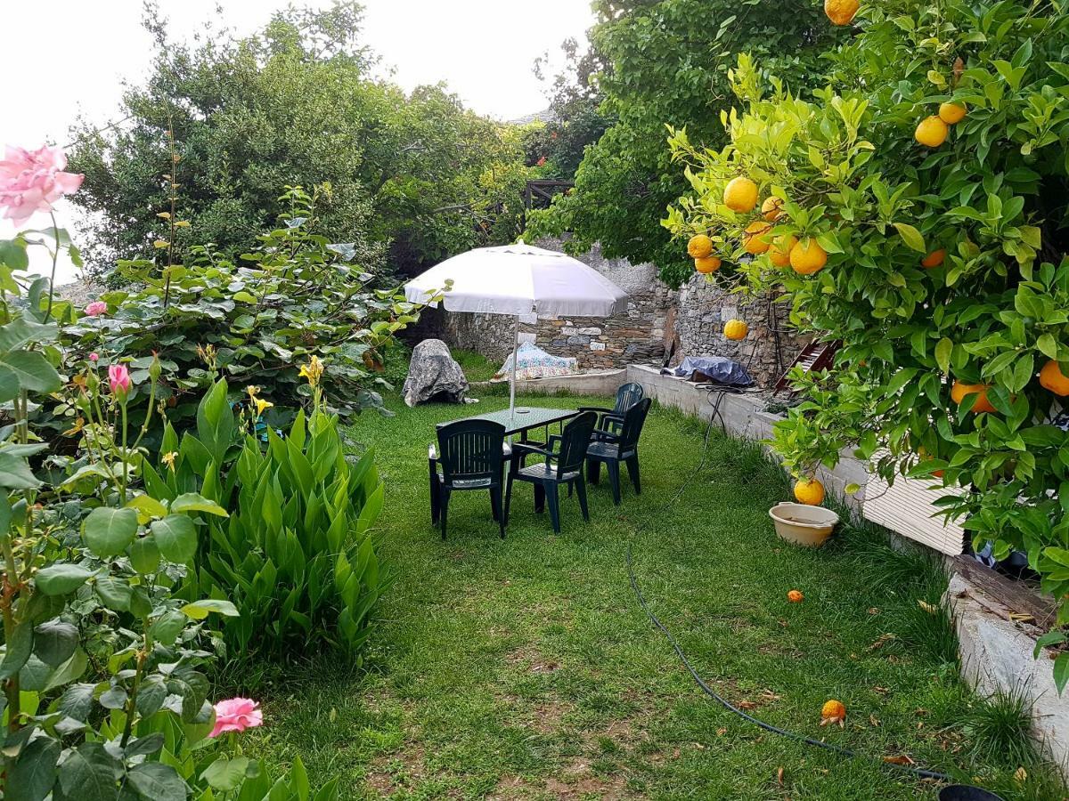 Koukourava Garden Villa Makrinítsa Buitenkant foto